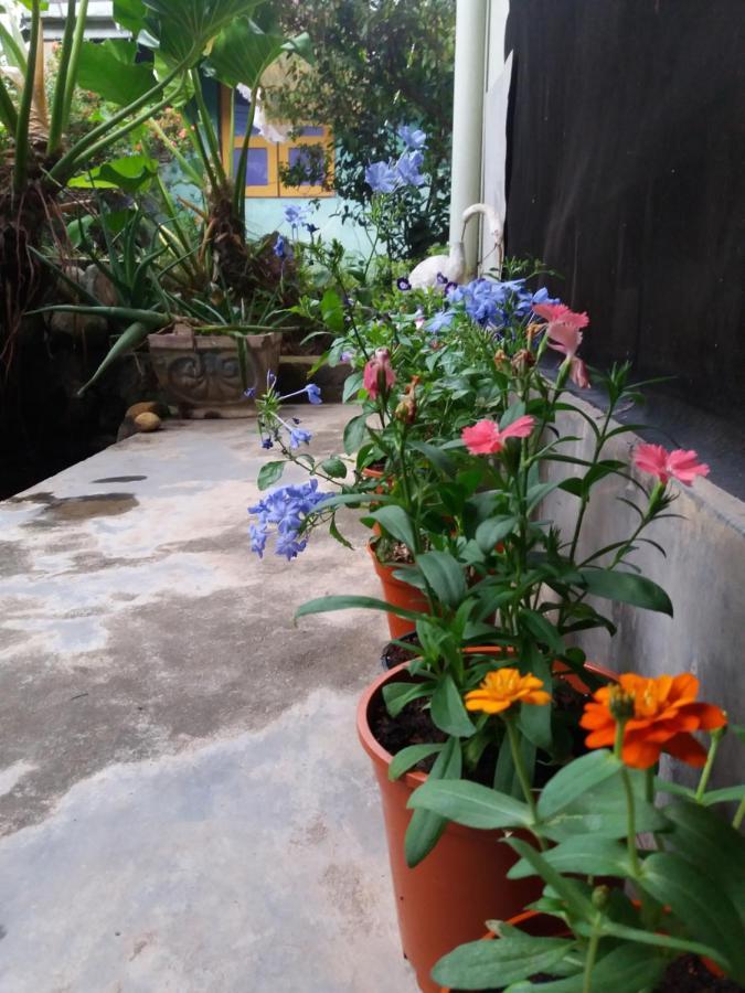 Mazz Homestay Negombo Eksteriør billede