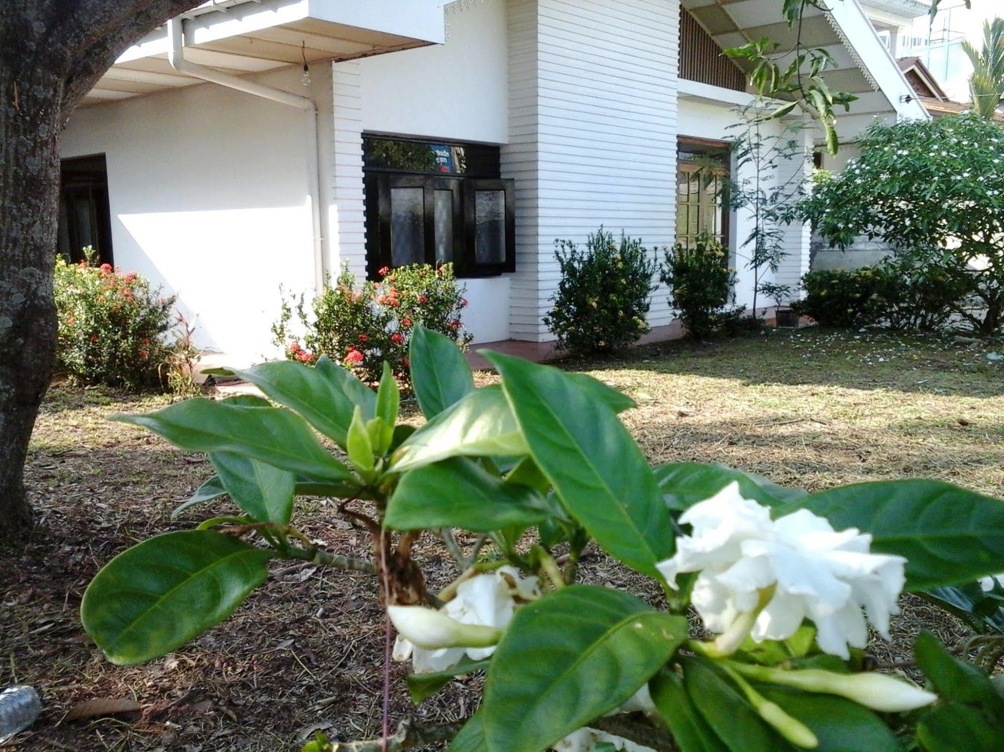 Mazz Homestay Negombo Eksteriør billede