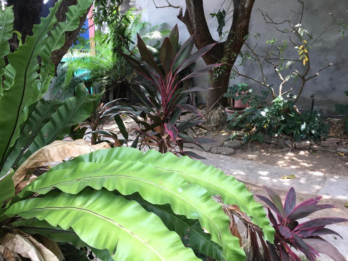 Mazz Homestay Negombo Eksteriør billede