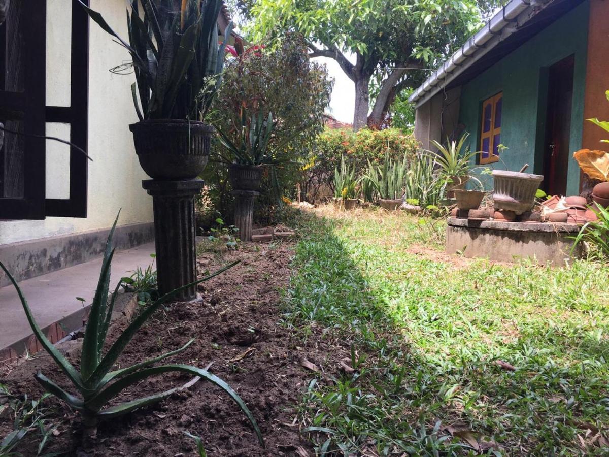 Mazz Homestay Negombo Eksteriør billede